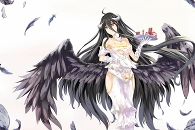 111 Overlord HD Wallpapers