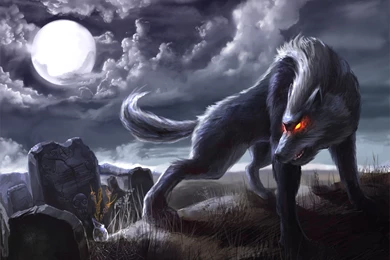 151 Werewolf HD Wallpapers