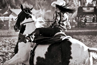 RODEO COWGIRL WALLPAPER   (