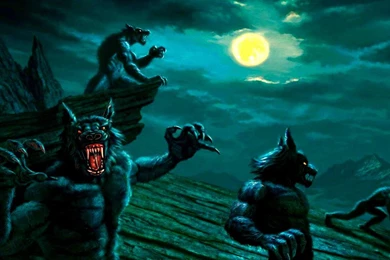 Werewolves   (