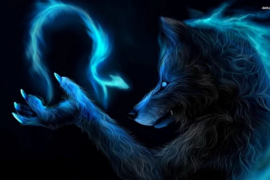 Werewolf HD Picture Wallpapers 11143   Amazing Wallpaperz