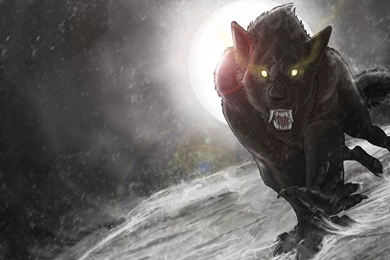 151 Werewolf HD Wallpapers