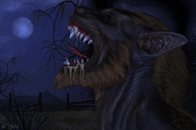 151 Werewolf HD Wallpapers