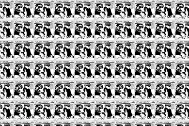 Sonic Youth Goo Wallpapers « Tiled Desktop Wallpapers