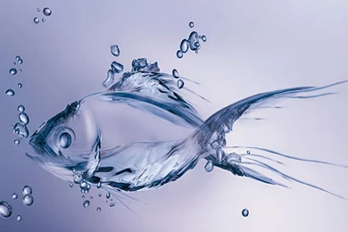 Animated Moving Hd Wallpapers For Mobile Free Download