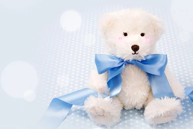 Teddy Bear 1080p Wallpapers / 1920x1080