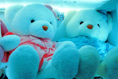 Cute Blue Bear Wallpapers