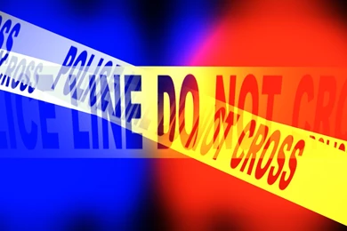 Naked Man Arrested For Burglary, Attacking Police Officer