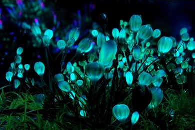 Avatar Iphone Wallpapers