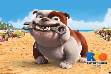 Download Wallpapers Bulldog Of Cartoon Rio (1280 X 800 Widescreen ...