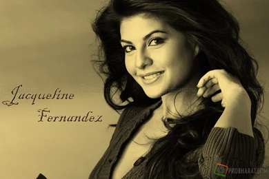 Wallpapers Jacquiline Fernandes Jacqueline Fernandez Spicy Chest ...