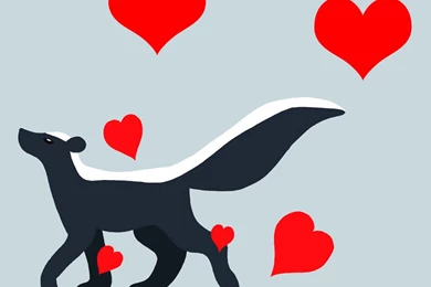 Skunk Wallpapers By Chili19 On DeviantArt