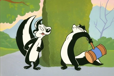 Desktop Images > Anime wallpapers pictures > 30FRANCE SKUNK ...