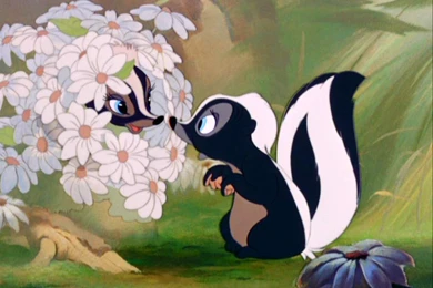 Bambi Flower The Skunk   Wallpaper.