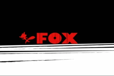 Fox Opening   Skunk Fu! Wallpapers (5772270)   Fanpop