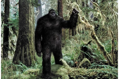 Other: Bigfoot Skunk Ape Sasquatch Grassman Yeti Wallpapers ...