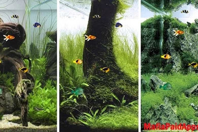 Aquarium 3D Live Wallpapers Pro V1.1.7 Apk