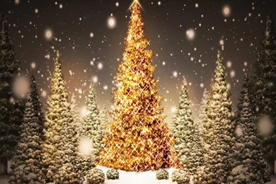 Most Beautiful Christmas Tree   Wallpaper.