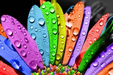 20 HD Rainbow Background Images And Wallpapers