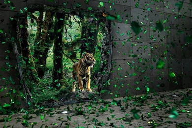 New Creative Design Wallpapers