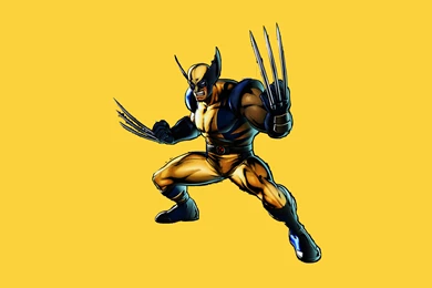 Wolverine Computer Wallpapers, Desktop Backgrounds