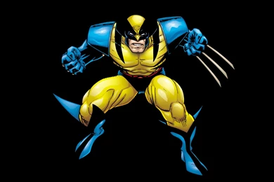 Wolverine Wallpapers 1920x1080   (
