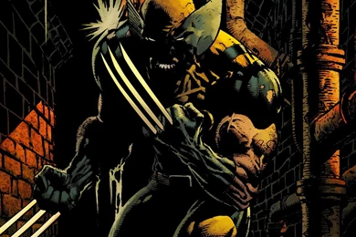 Wolverine Computer Wallpapers, Desktop Backgrounds