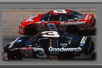 Dale Earnhardt Jr Wallpapers Coolstyle
