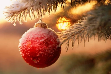 30+ Christmas And Holidays Wallpapers And Ringtones « Android.AppStorm
