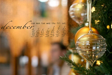 Wallpapers   Ali's American Adventures