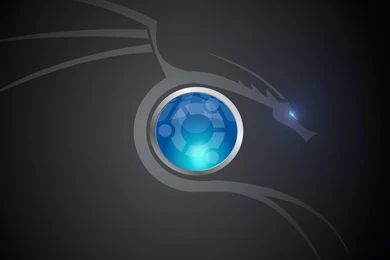 Cool Dragons 35 Wallpaper Backgrounds Hd By Kyouko ...