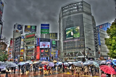 Tokyo Snow, Japan Shibuya