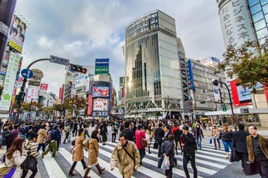 Shibuya Crossing   Road In Tokyo   Thousand Wonders