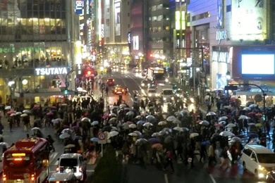 Japan Shibuya Cities Cityscapes Crossing Wallpapers