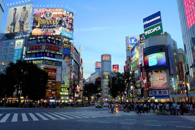 The Japan Photoblog The Shibuya Scramble Crossing   Nihongogo