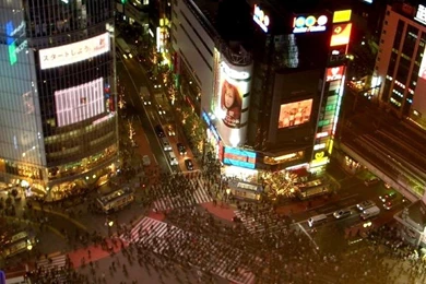 Crossing Shibuya Wallpapers