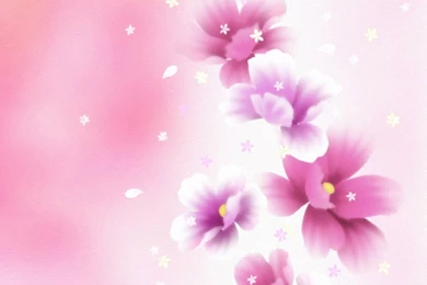 Pretty Flower iPhone 6s Wallpapers HD