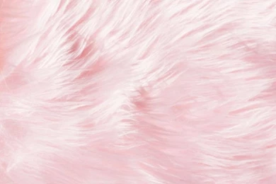 Iphone Wallpapers On Pinterest