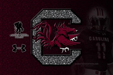 Gamecocks Backgrounds   Wallpapers Zone