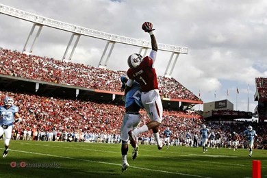 Gamecocks Wallpapers   Wallpapers Cave