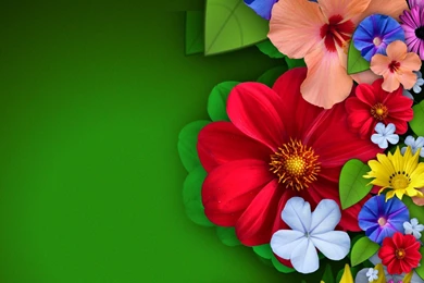 Flowery Design Abstract Wide Wallpapers