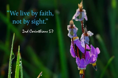 Download HD New Year 2016 Bible Verse Greetings Card & Wallpapers ...