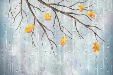 Autumn Leaves With Raindrop Vector Backgrounds   Vector Backgrounds ...