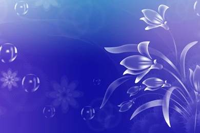 Transparent Flowers HD Amazing Wallpapers Free HD Wallpapers ...