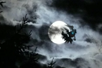 Screensavers And Wallpapers: Darkrai Wallpapers