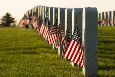 Memorial Day HD Wallpapers Picture Greeting Card Images.jpg
