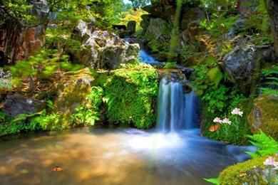 Desktop Animated Phone Wallpapers Download