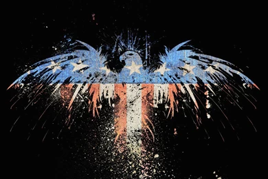 New American Eagle Wallpapers Picture