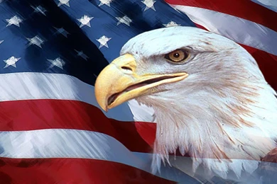 New American Eagle Wallpapers Full HD