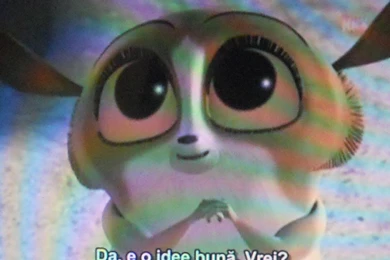 Image   Mort.jpg   Madagascar FANDOM Wiki   Wikia